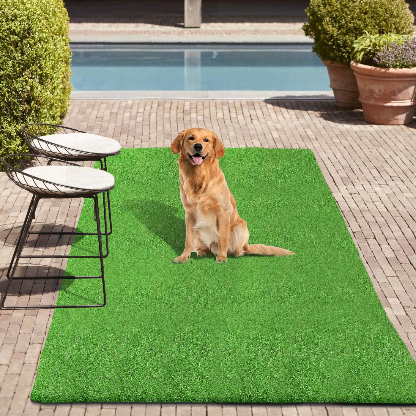 Fake Grass